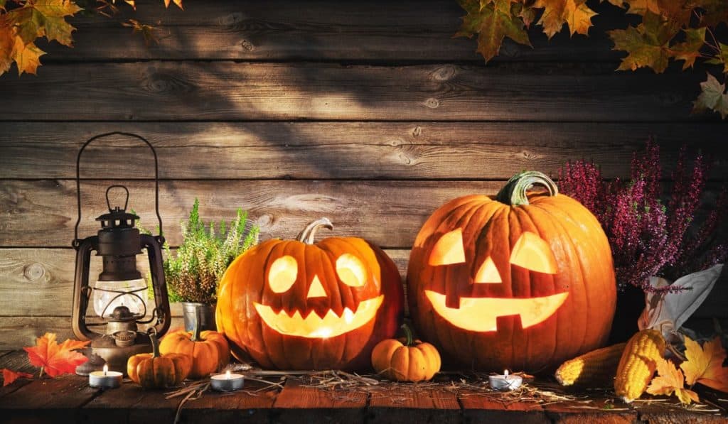 Halloween Make-up Ideeën