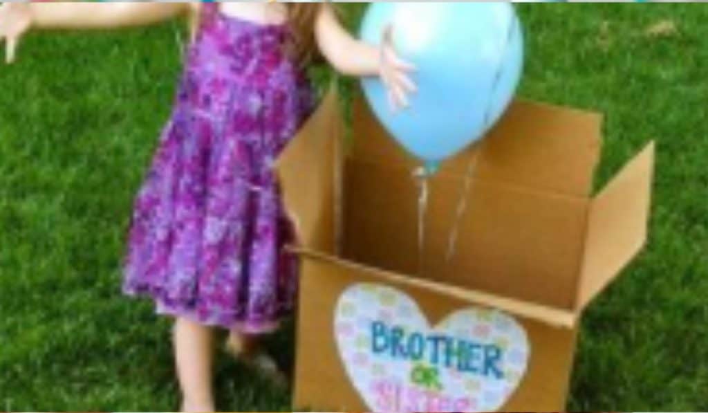 Gender Reveal met Broertje of Zusje, Fotoshoot & Cake Smash